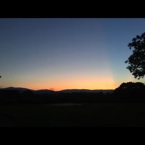 Meet your Posher, Reagan